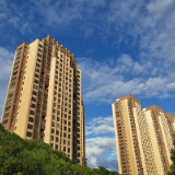 找省委书记“告状”，直击房地产维权难的痛点