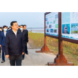 以绿色为底色，书写碧水东流的时代答卷 