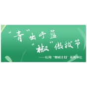 医院“黄牛”抢号，实名认证是不是真“实名”
