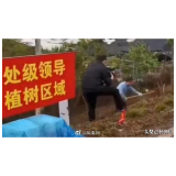 “处级领导植树区”，不能总让工作人员背锅 