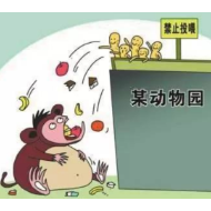 有动物患上了糖尿病，你还随意投喂吗？