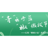 “我在屏幕的另一边尽孝”，牵挂仍能远寄