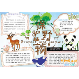 “瞒豹”后，“人兽冲突”该当何解？ 