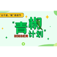 暴力是我们每一个人的敌人