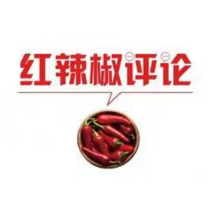 【地评线】太阳鸟时评：“好评中国”，奔涌不息的“时代洪流”