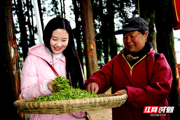 微信图片_20200422011703.jpg