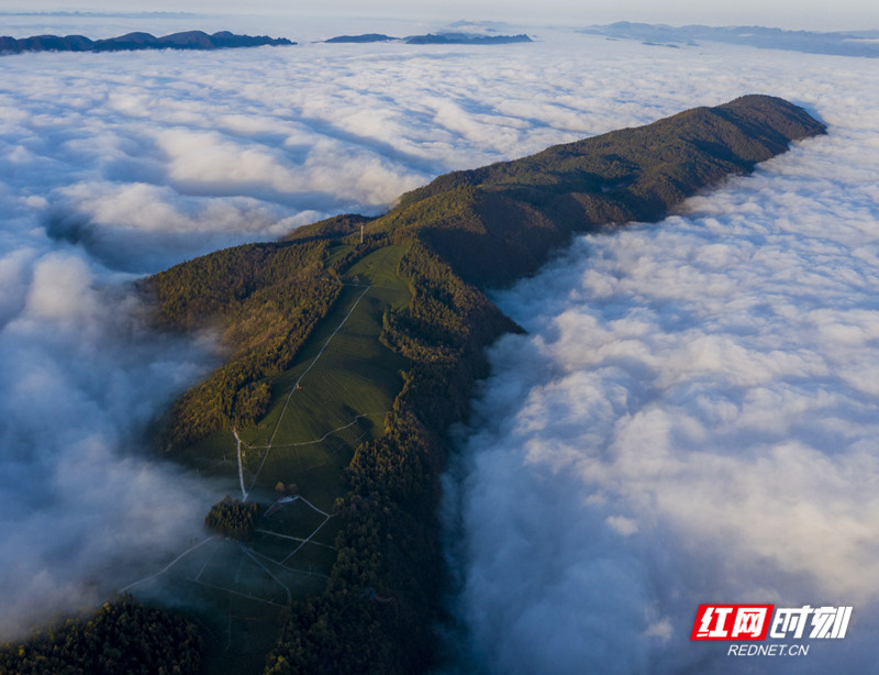 白云山.jpg