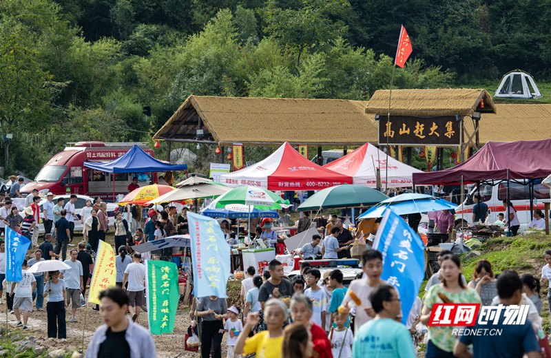 微信图片_2025-08-21_171330_575.jpg