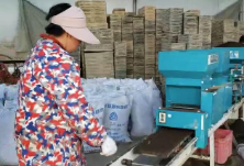省时省力 效率翻倍：机械育秧为醴陵春耕添动力