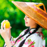 央视6个频道齐推炎陵黄桃