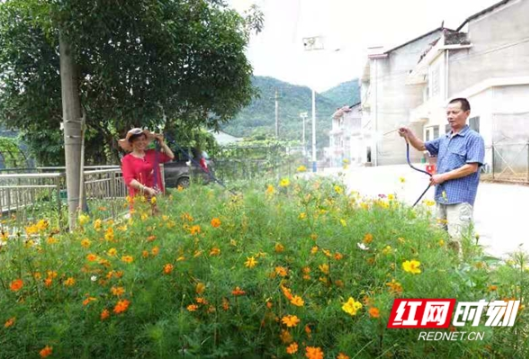 双峰：“美丽屋场建设”扮靓同来村