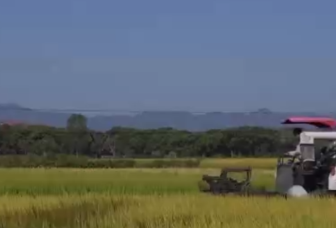 谷物基本自给、口粮绝对安全 中国人的饭碗这样端牢→