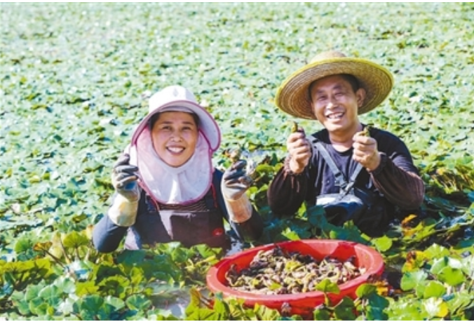治水惠民 淮河安澜（新时代画卷·江河奔腾看中国）