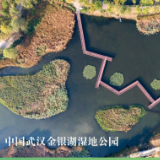 海报丨珍爱湿地 人与自然和谐共生