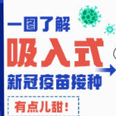 有点儿甜！一图了解吸入式新冠疫苗接种