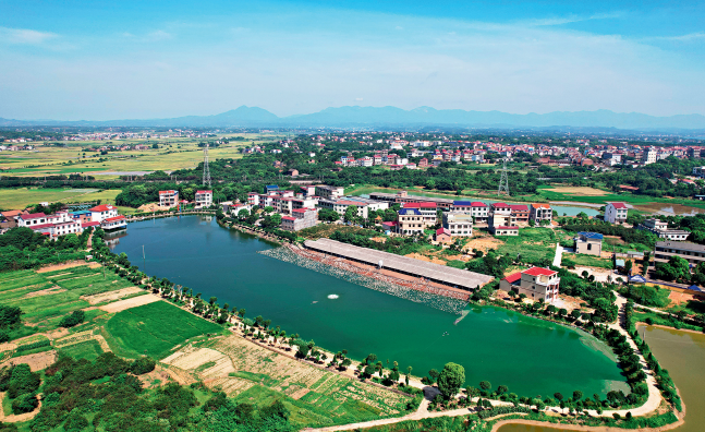 图片8.png 图片8.png