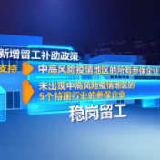 我国多措并举稳就业
