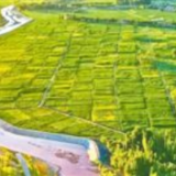 甘肃临泽实施黑河支流修复及水系连通工程  汩汩清流润绿洲（美丽中国）