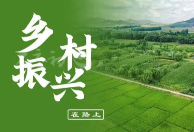 湖北黄梅:“新农人”书写别样“田园诗”