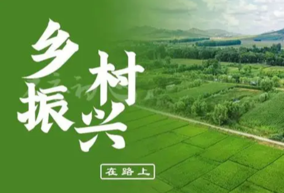 新华全媒+丨从手机喷灌到“一季双收”——种粮“老把式”的新体验