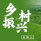 重塑城乡关系,走城乡融合发展之路(乡村振兴一线探访)