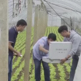 走进新职业·农业数字化技术员丨陈鑫：给农作物“把脉开方”