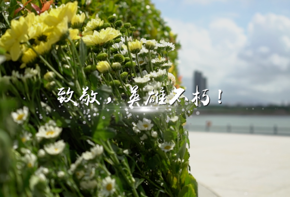 今天，鲜花献给英烈！