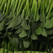 农业农村部将实施三大举措 确保重要农产品供应