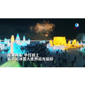 全球连线｜迎八方来客！外国友人眼中的中国“冰城”之美