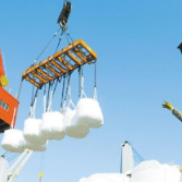 坚守岗位度佳节