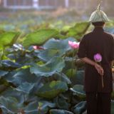 镜观世界｜河内：在“百花春城”感受千年古城的生机