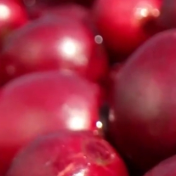 祖国大地“丰”景正好 “烟火气”中传递经济运行积极信号