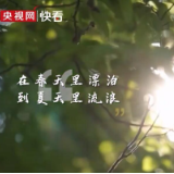 “远方”不远 他们把生活过成诗