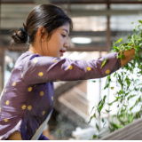 飞阅中国｜瞰茶马古道 品千年茶香