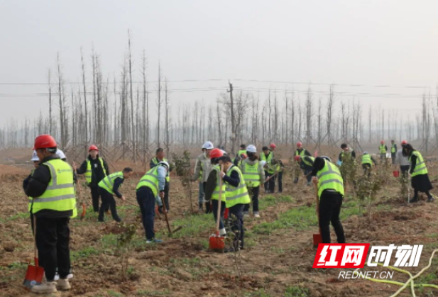 电建生态长沙大泽湖公司联合党支部开展雷锋月义务植树活动