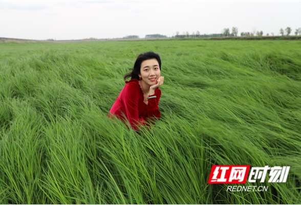 大通湖区四月天：南方有佳人  悠悠青草香