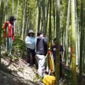 “两山”高效转化富民增收 竹产业全产业链发展焕发新活力