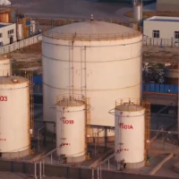 焦点访谈:发展新质生产力 生物制造 制造万物