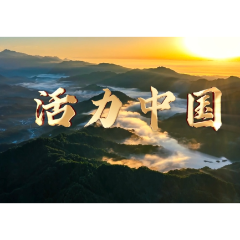 微视频｜活力中国