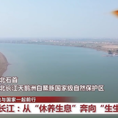 我与国家一起前行丨长江从“休养生息”奔向“生生不息”  