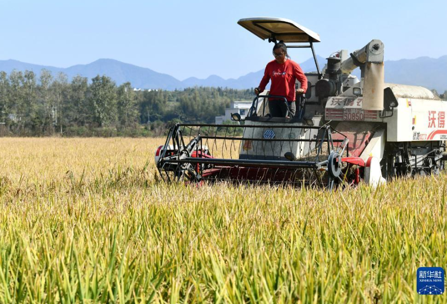 湖南粮食进入大湾区应急保障体系