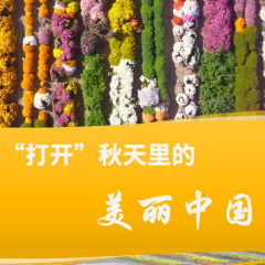 秋天的调色盘，铺展在美丽中国的大地