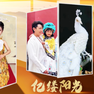 亿缕阳光丨巧手匠心