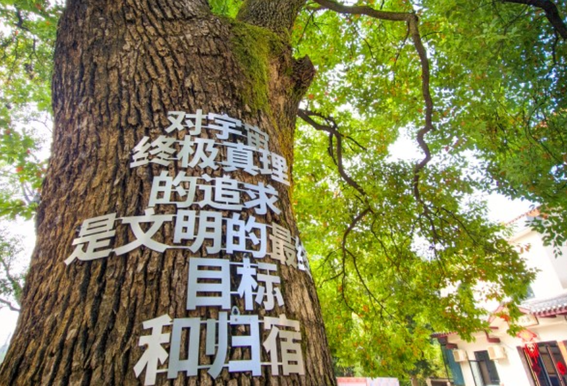 万千气象看湖南 | 这座山村，一草一木都有“书卷气”