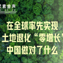 尺素金声丨在全球率先实现土地退化“零增长”,中国做对了什么