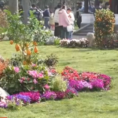 锦绣中国年｜透过数据看“热度” 全国多地旅游市场迎来开门红