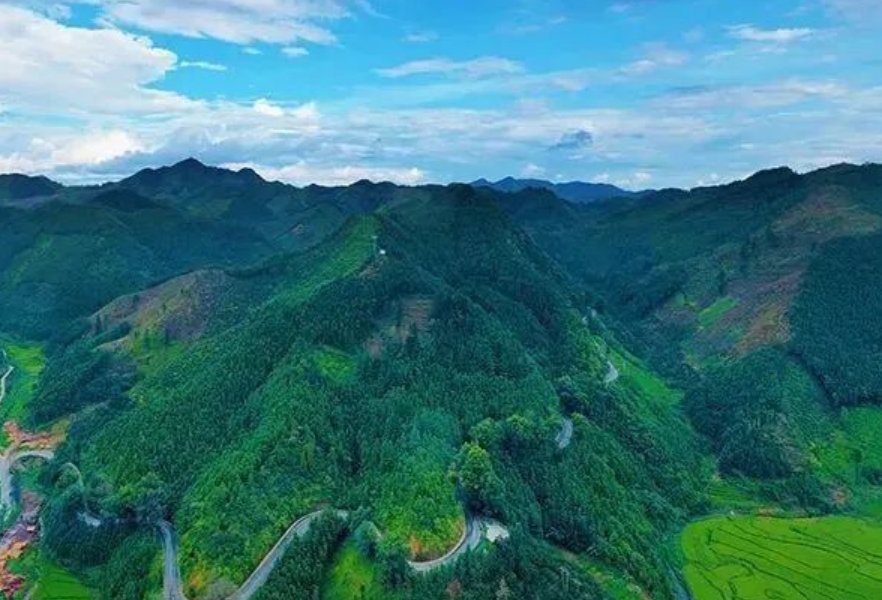 湖南发布第三号总林长令 高质量完成390万亩营造林任务