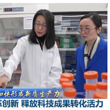 一线调研丨如何加快形成新质生产力?浙江交上这份答卷