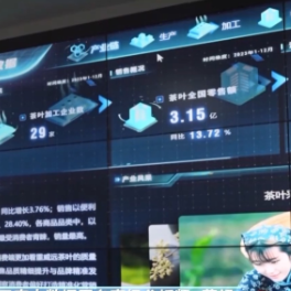 新业态新模式新技术助力！一组数据看农村消费不断升温→