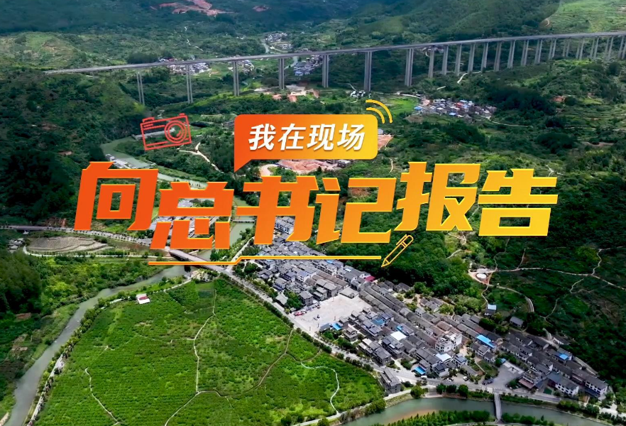 我在现场·向总书记报告 | 沙洲村：从“一枝秀”到“满园春”